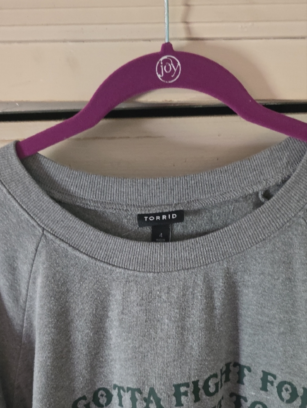 torrid Heather Gray Sweatshirt with Rainbow Striped Sleeves - Picture 2 of 3